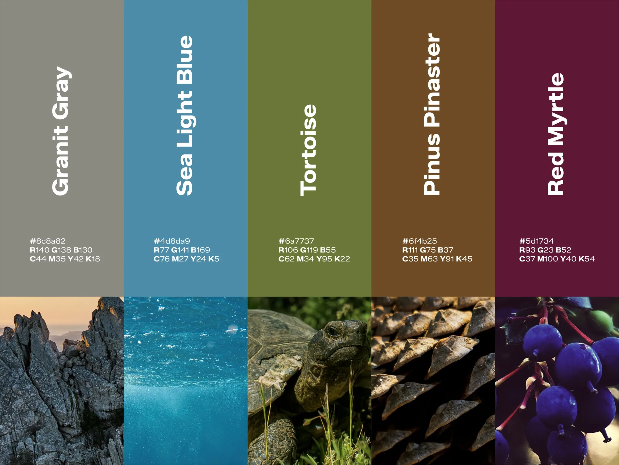 Monte Pino color palette — Granite Gray, Sea Light Blue, Tortoise, Pinus Pinaster, Red Myrtle